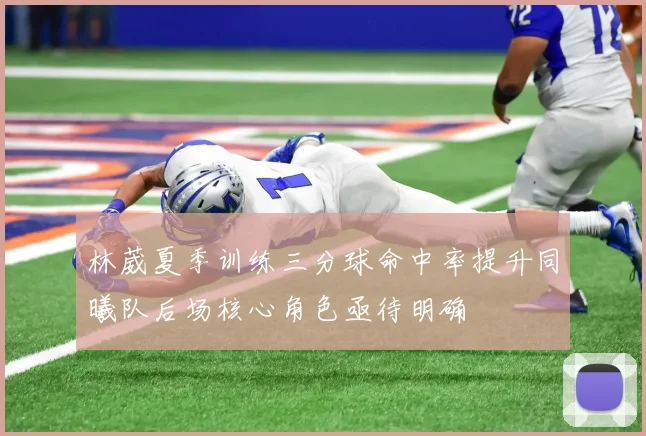 林葳夏季训练三分球命中率提升同曦队后场核心角色亟待明确