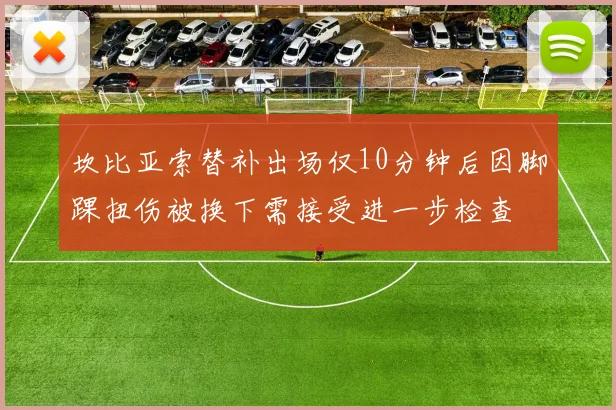 坎比亚索替补出场仅10分钟后因脚踝扭伤被换下需接受进一步检查